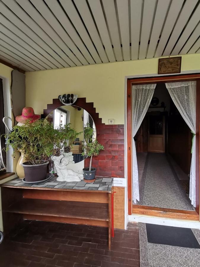 Apartman Ve Mlejne Nová Bystřice المظهر الخارجي الصورة