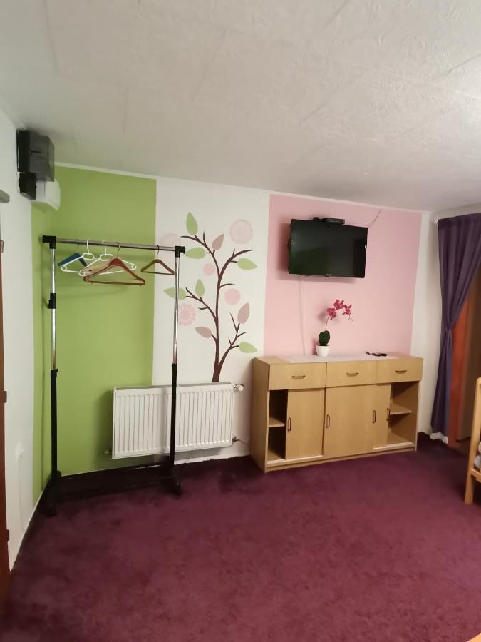 Apartman Ve Mlejne Nová Bystřice المظهر الخارجي الصورة