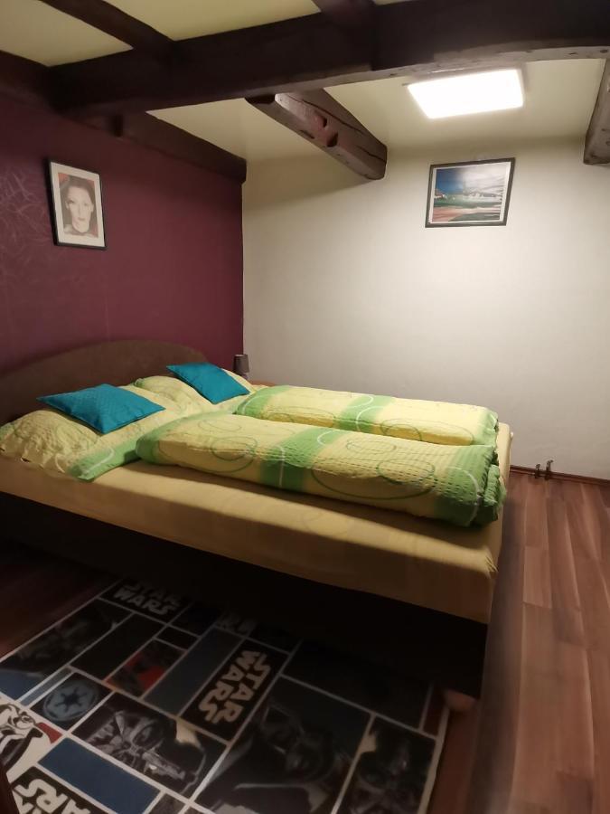 Apartman Ve Mlejne Nová Bystřice المظهر الخارجي الصورة