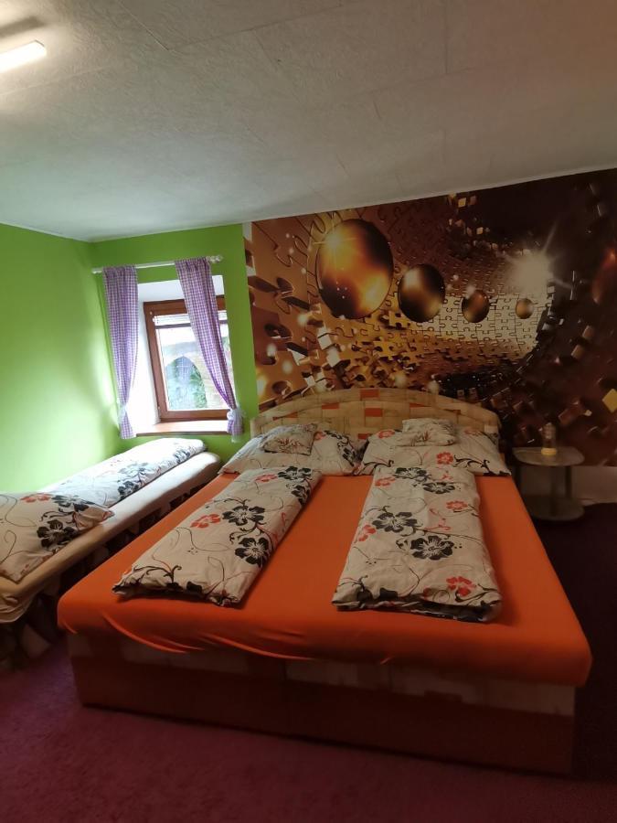 Apartman Ve Mlejne Nová Bystřice المظهر الخارجي الصورة
