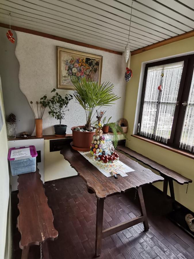 Apartman Ve Mlejne Nová Bystřice المظهر الخارجي الصورة