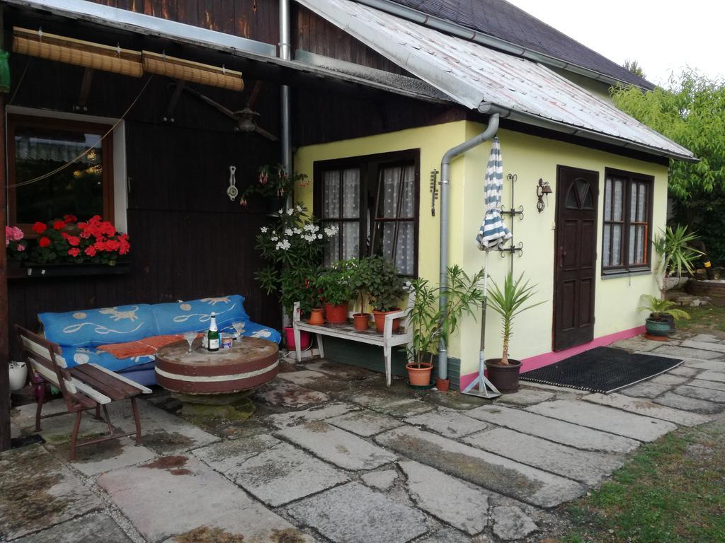 Apartman Ve Mlejne Nová Bystřice المظهر الخارجي الصورة